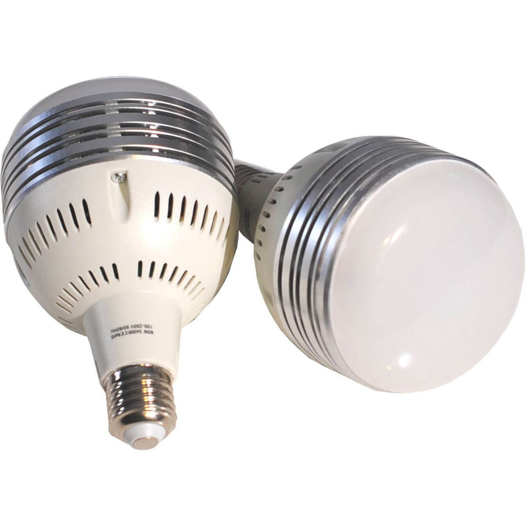 Caruba Bulb 60W ( All-in-1 Lichtset (Softbox / LED)