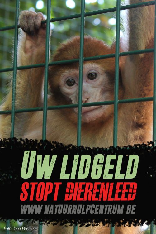 Met een hart voor...