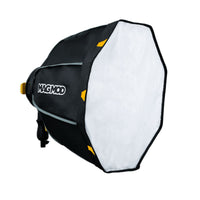 MagMod MagBox 24 Octa Profoto Gel Kit