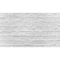 Caruba Backdrops 5x2 Paper Prints Stone