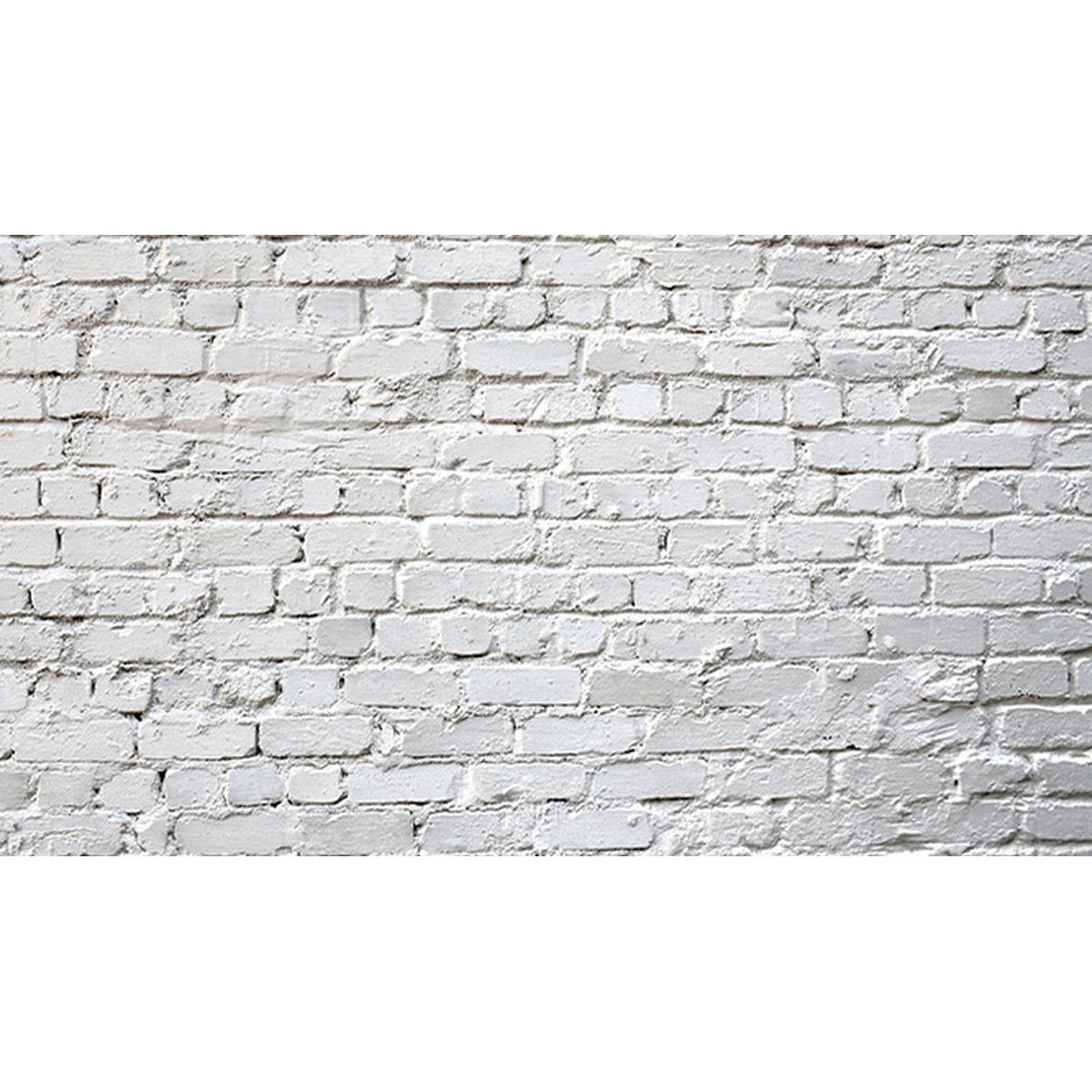 Caruba Backdrops 5x2 Paper Prints Stone