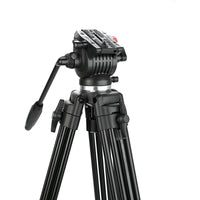 Caruba Videostar 177 Pro Videostatief + Liquid Damped Head