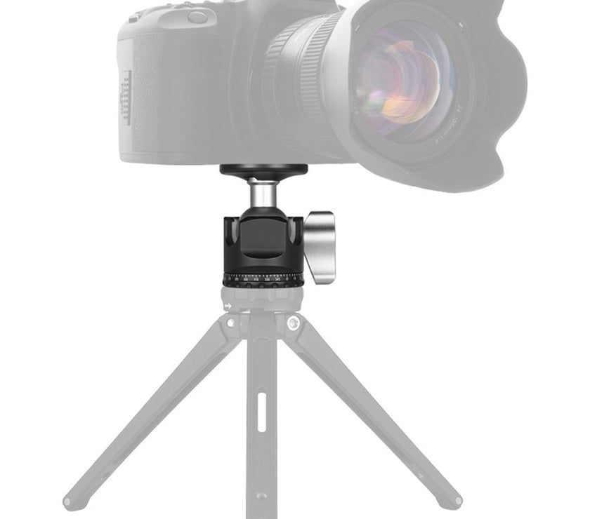 Caruba D-25 Camera Ball Head