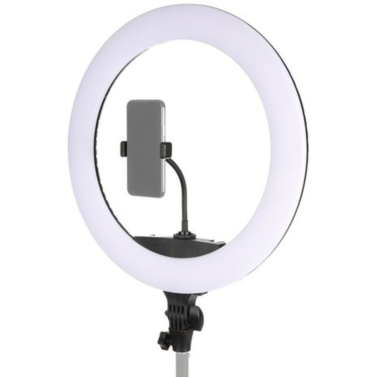 StudioKing LED Ringlamp Set 65W LR-650