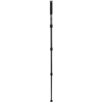 Benro Mach3 Monopod MMA28C