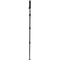 Benro Mach3 Monopod MMA38C