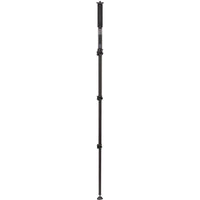 Benro Adventure Monopod MAD38A