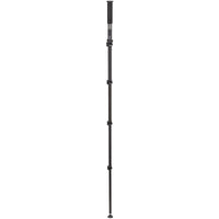 Benro Adventure Monopod MAD49A
