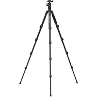 Benro FIT29AIH1 Reistatief Kit met statiefkop