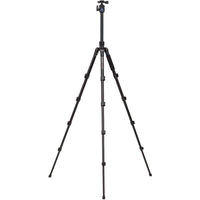 Benro FIT29AIH1 Reistatief Kit met statiefkop
