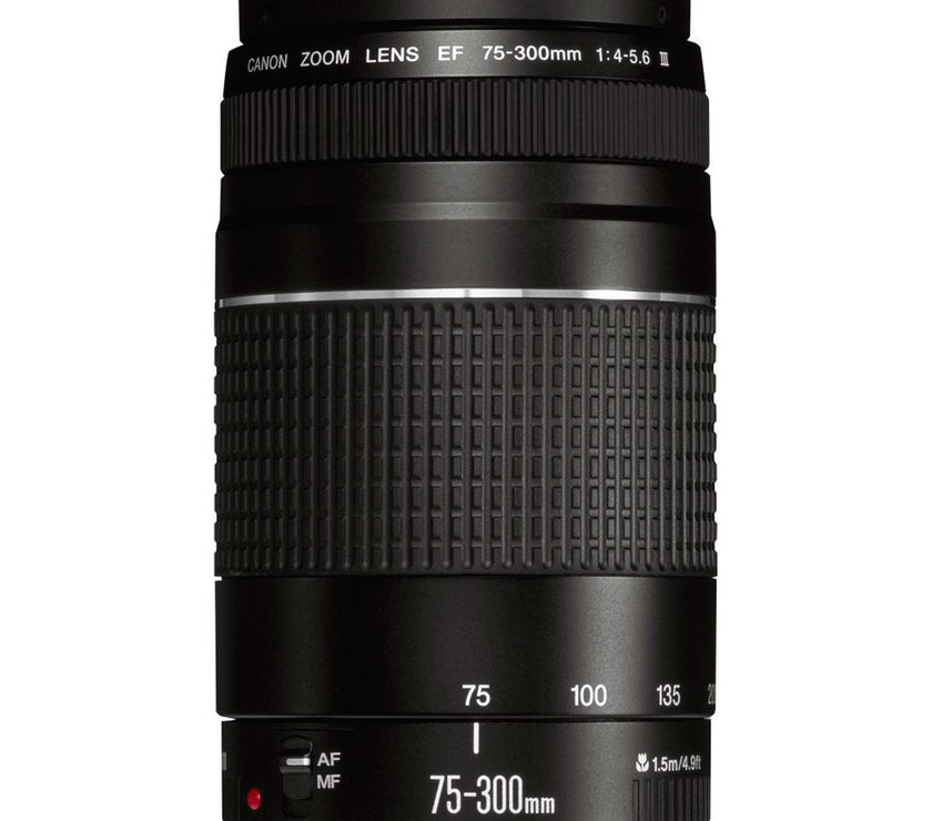 Canon EF 75-300mm/F4.0-5.6 III