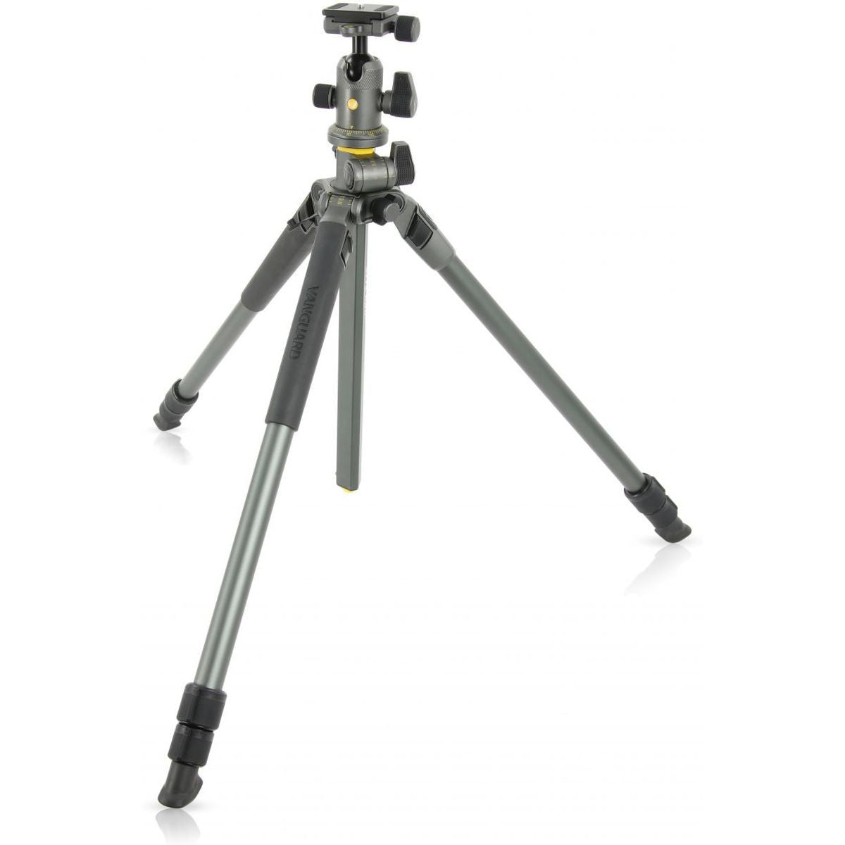 Vanguard Tripod Alta Pro 2+ 263AB 100