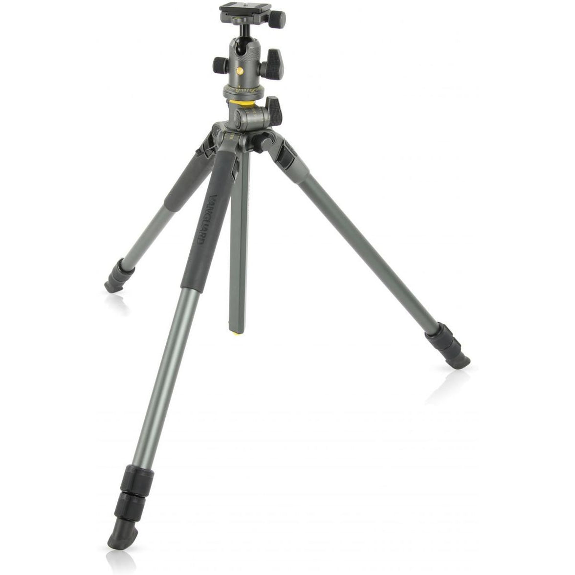 Vanguard Tripod Alta Pro 2+ 263AB 100