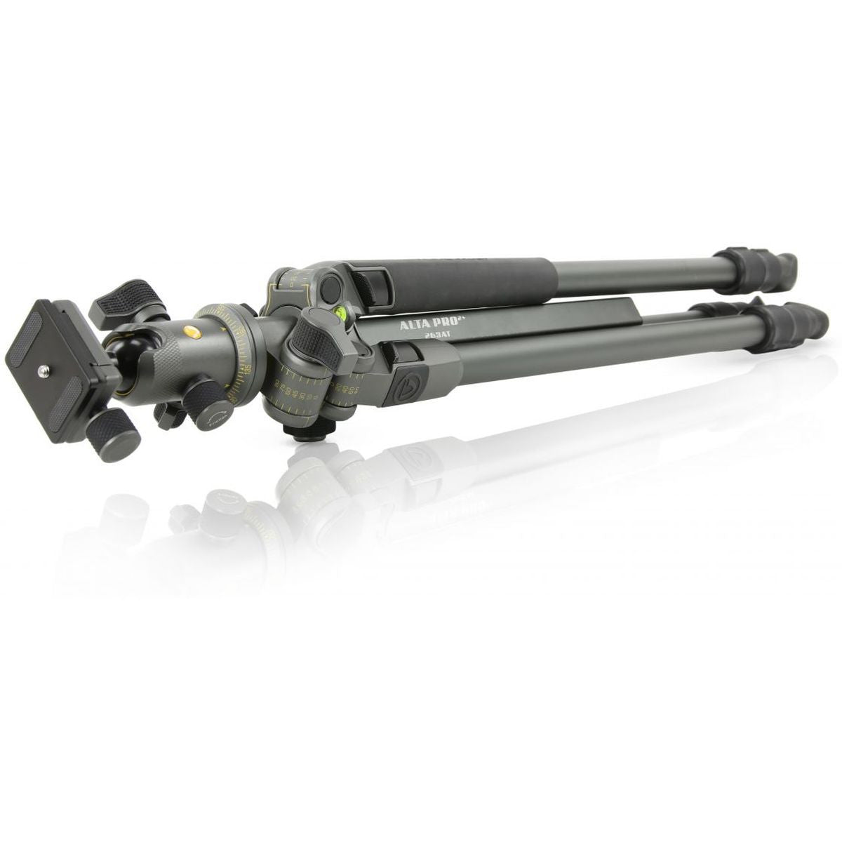 Vanguard Tripod Alta Pro 2+ 263AB 100