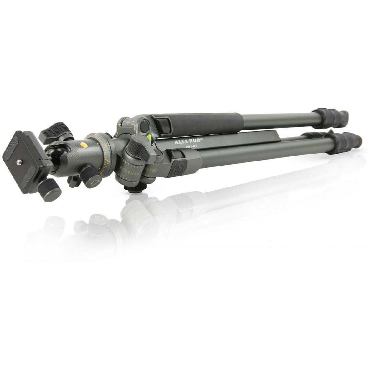 Vanguard Tripod Alta Pro 2+ 263AB 100