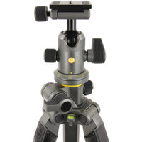 Vanguard Tripod Alta Pro 2+ 263AB 100