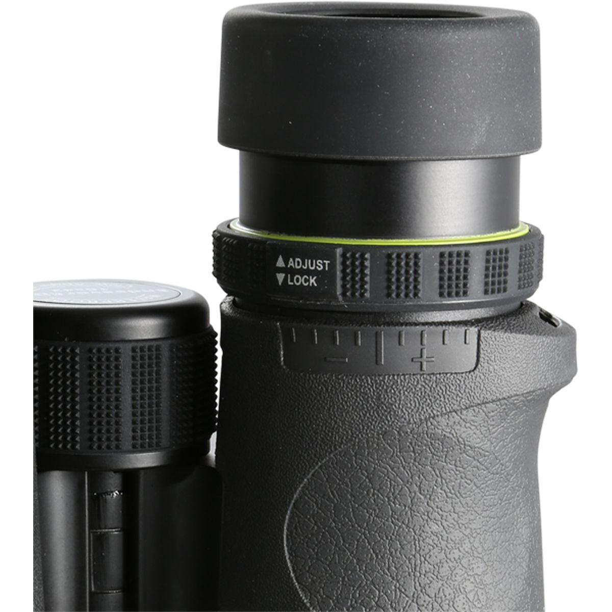 Vanguard Endeavor ED II 1042