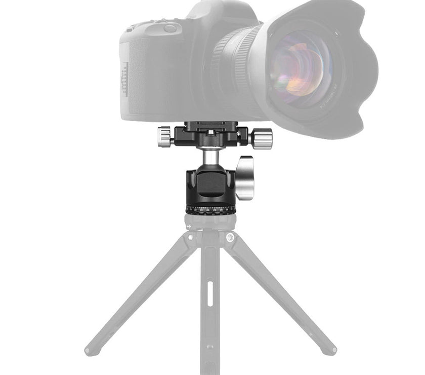 Caruba D-25R Camera Ball Head