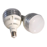 Caruba Bulb 60W ( All-in-1 Lichtset (Softbox / LED)