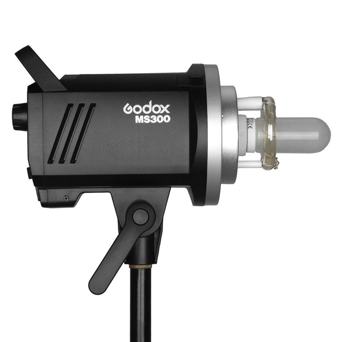 Godox MS300-F Kit