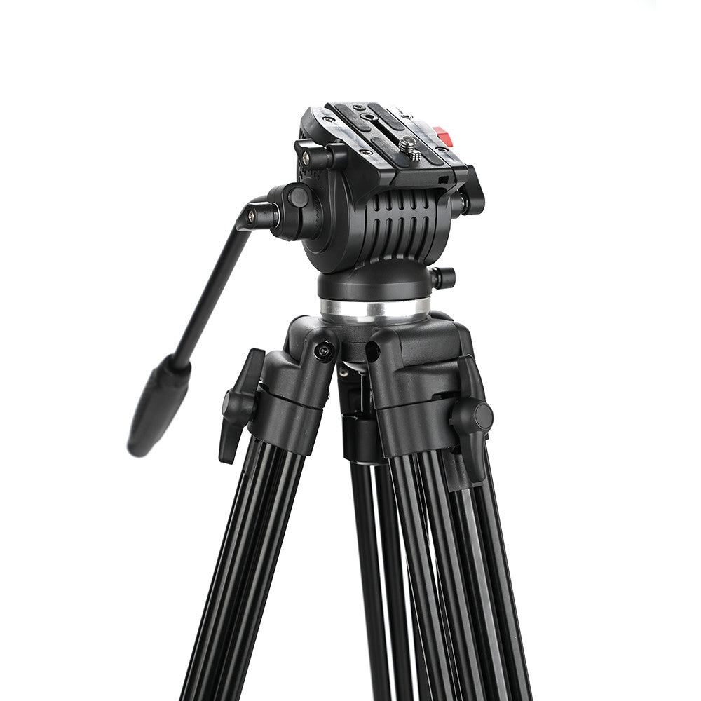 Caruba Videostar 177 Pro Videostatief + Liquid Damped Head