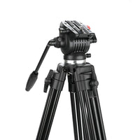 Caruba Videostar 177 Pro Videostatief + Liquid Damped Head