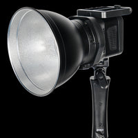 Sirui Bi-Color LED Spot Lamp C60B