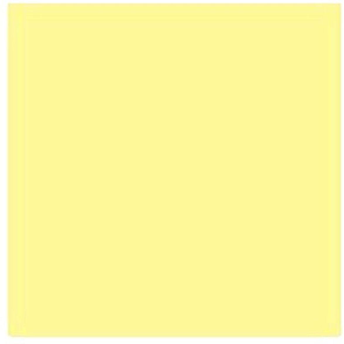 Cokin Filter A727 Yellow CC (CC40Y)