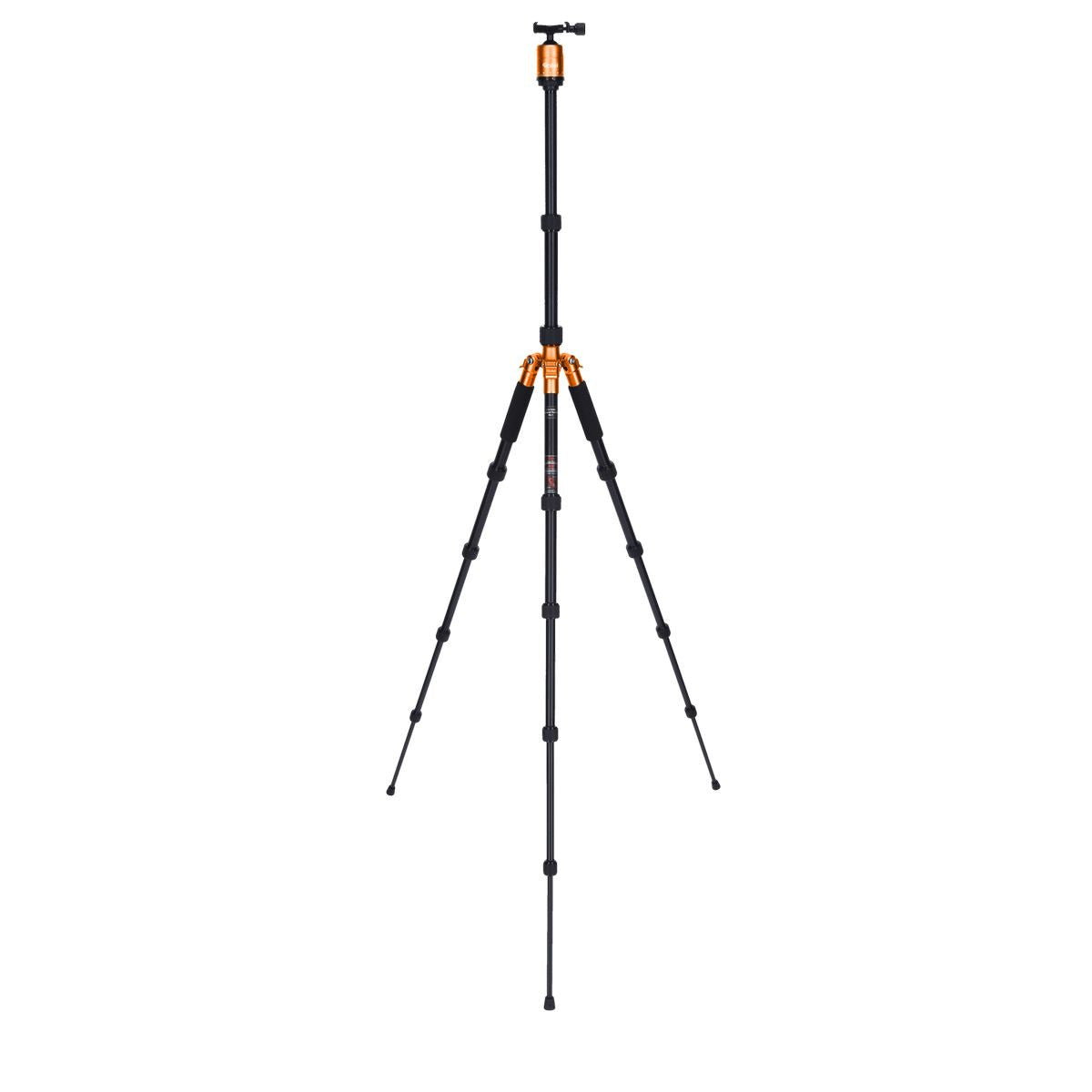 Rollei Compact Traveler No I Orange