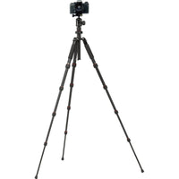 Rollei Compact Traveler No I Black