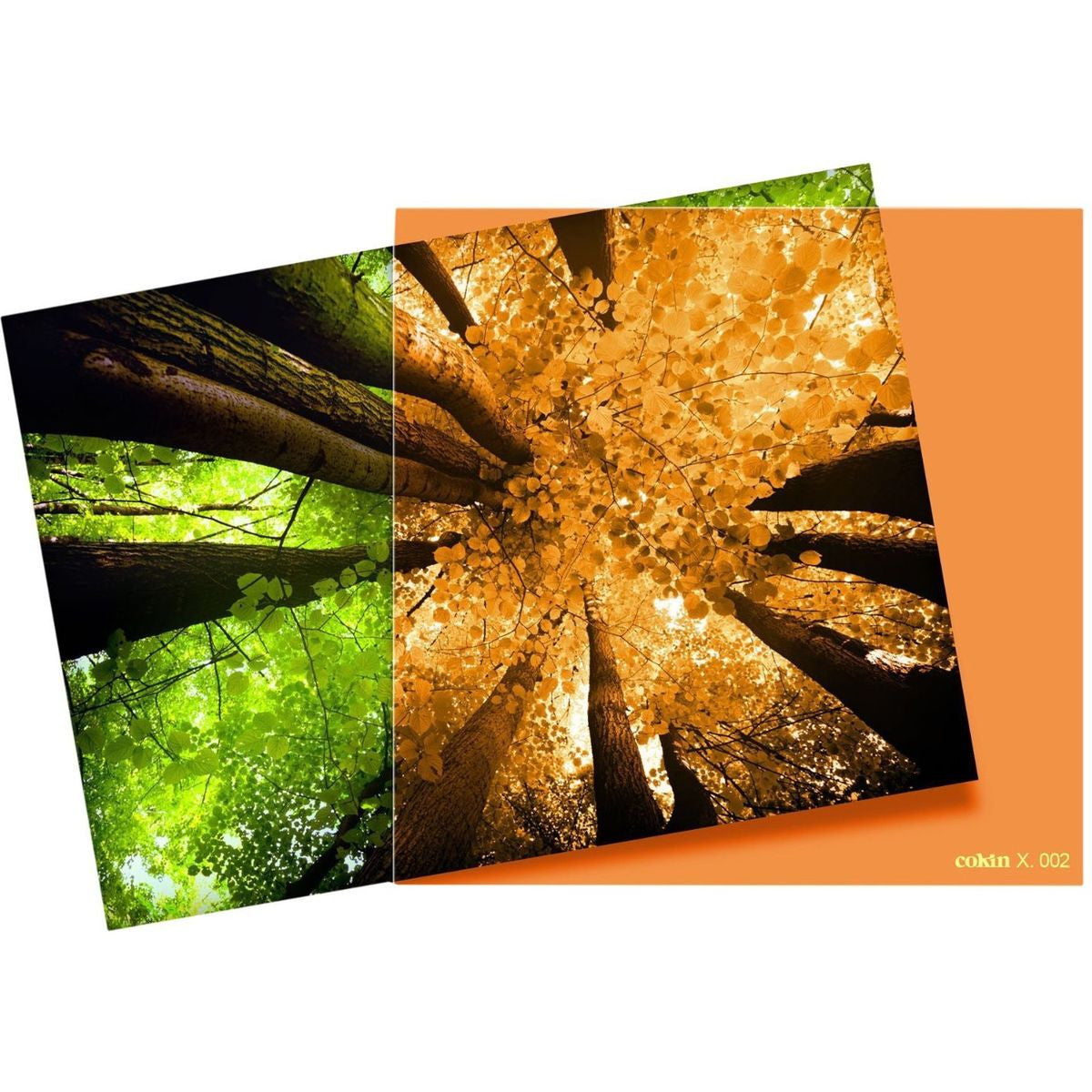 Cokin Filter X002 Orange