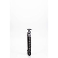 Benro Tortoise Tripod Kit TTOR24CGX30