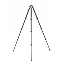 Benro Tortoise Tripod TTOR14C