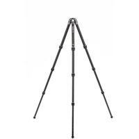 Benro Tortoise Tripod TTOR24C