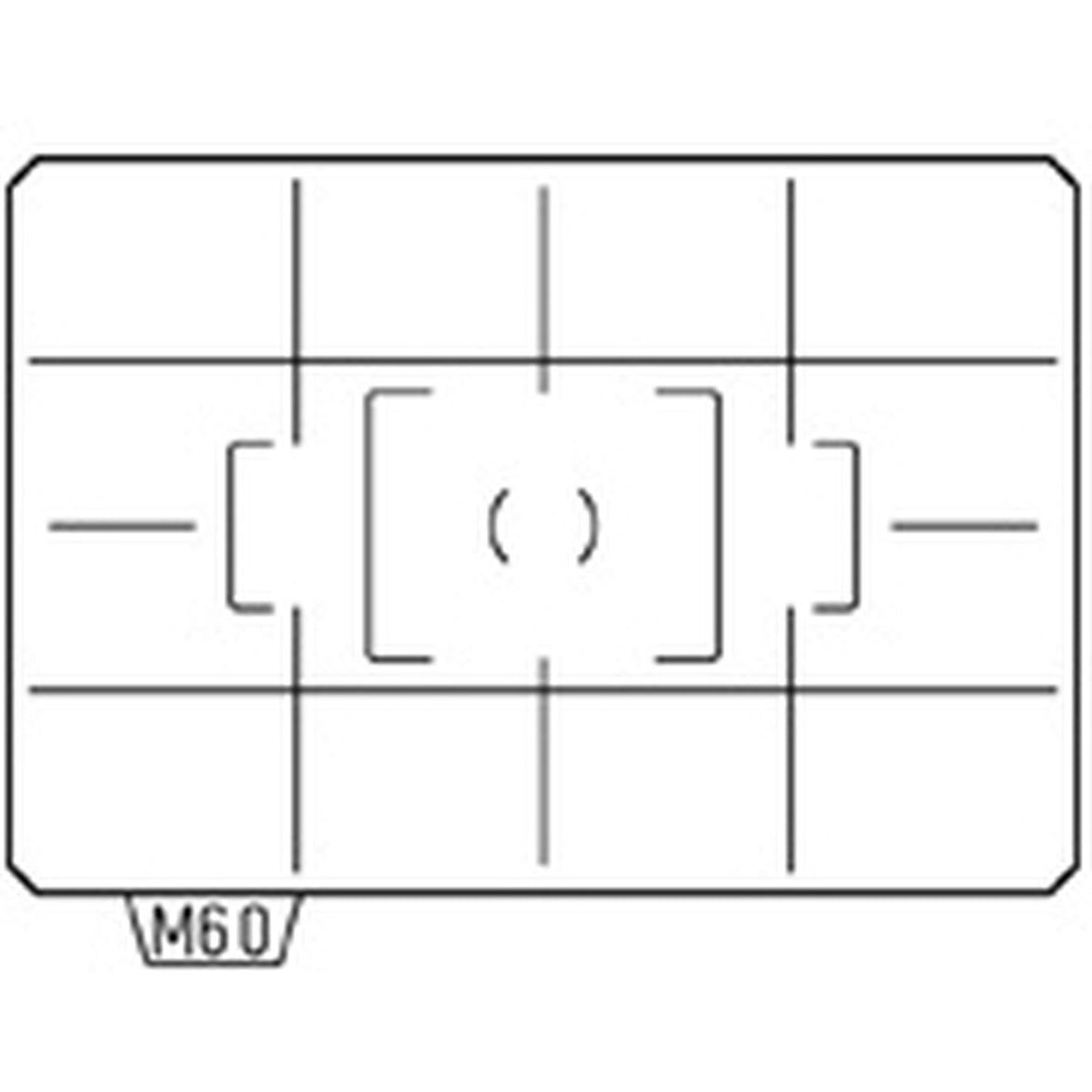 Ricoh Matglas AF Divided Matte ML-60