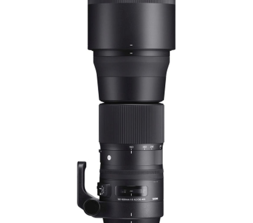Sigma Tripod Mount TS-71 For 150-600mm Contemporary
