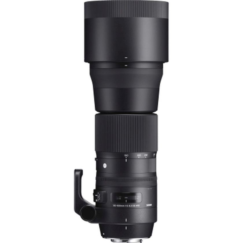 Sigma Tripod Mount TS-71 For 150-600mm Contemporary