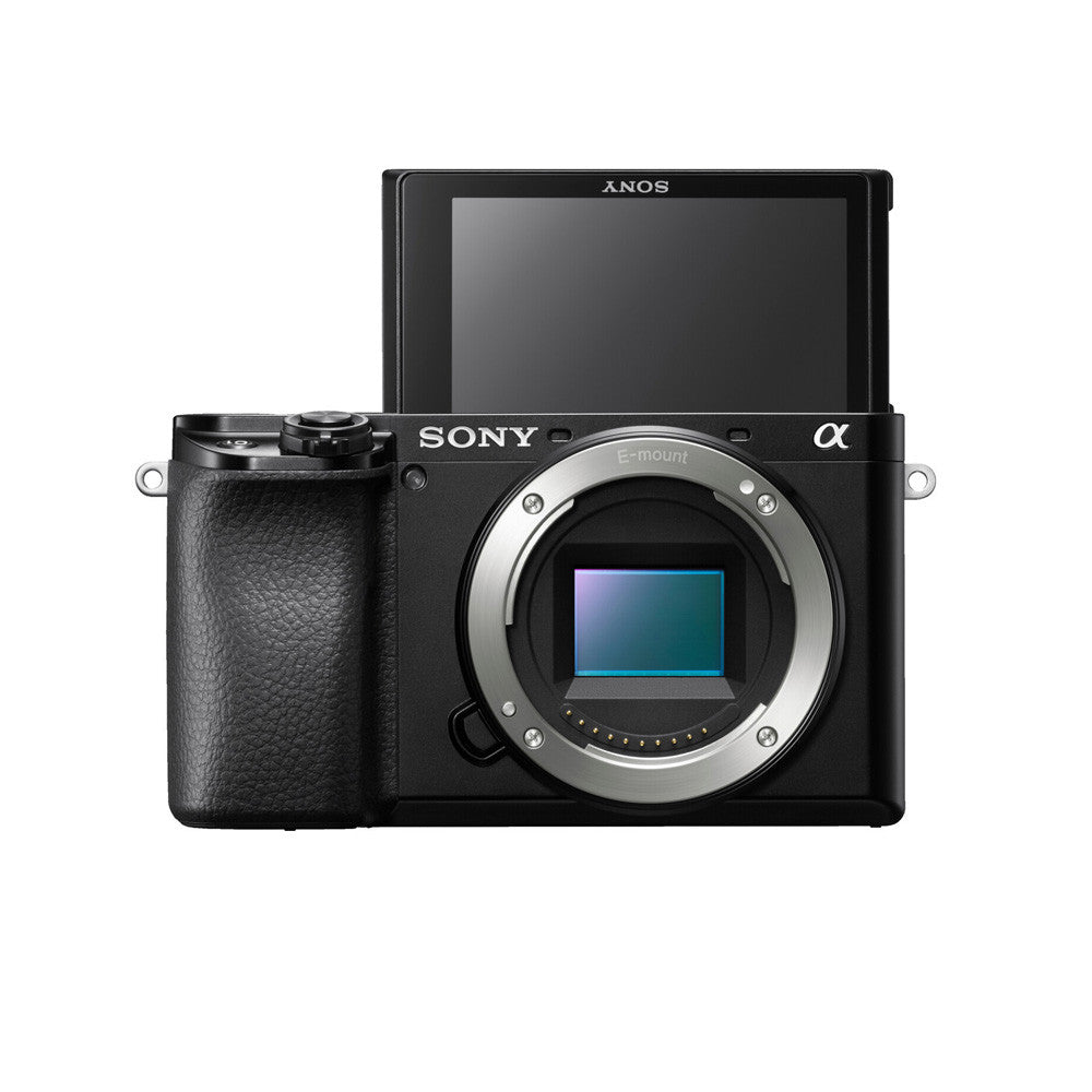 Sony A6100 + 16-50mm + SEL 55-210mm