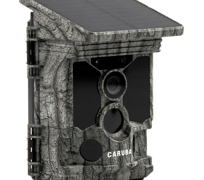 Caruba Wildcamera Raccoon Solar 4K