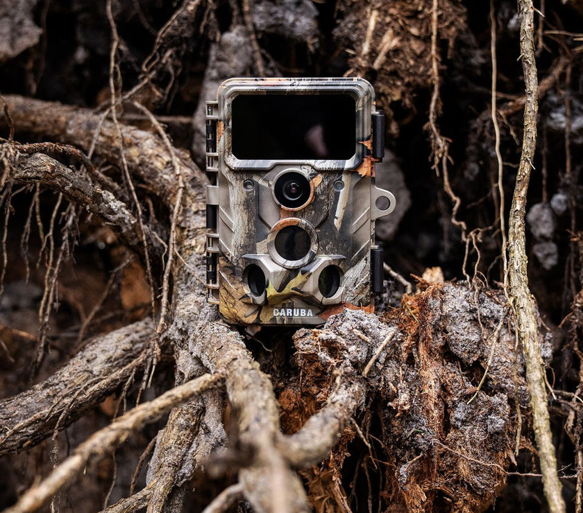Caruba Wildcamera Moose 4K