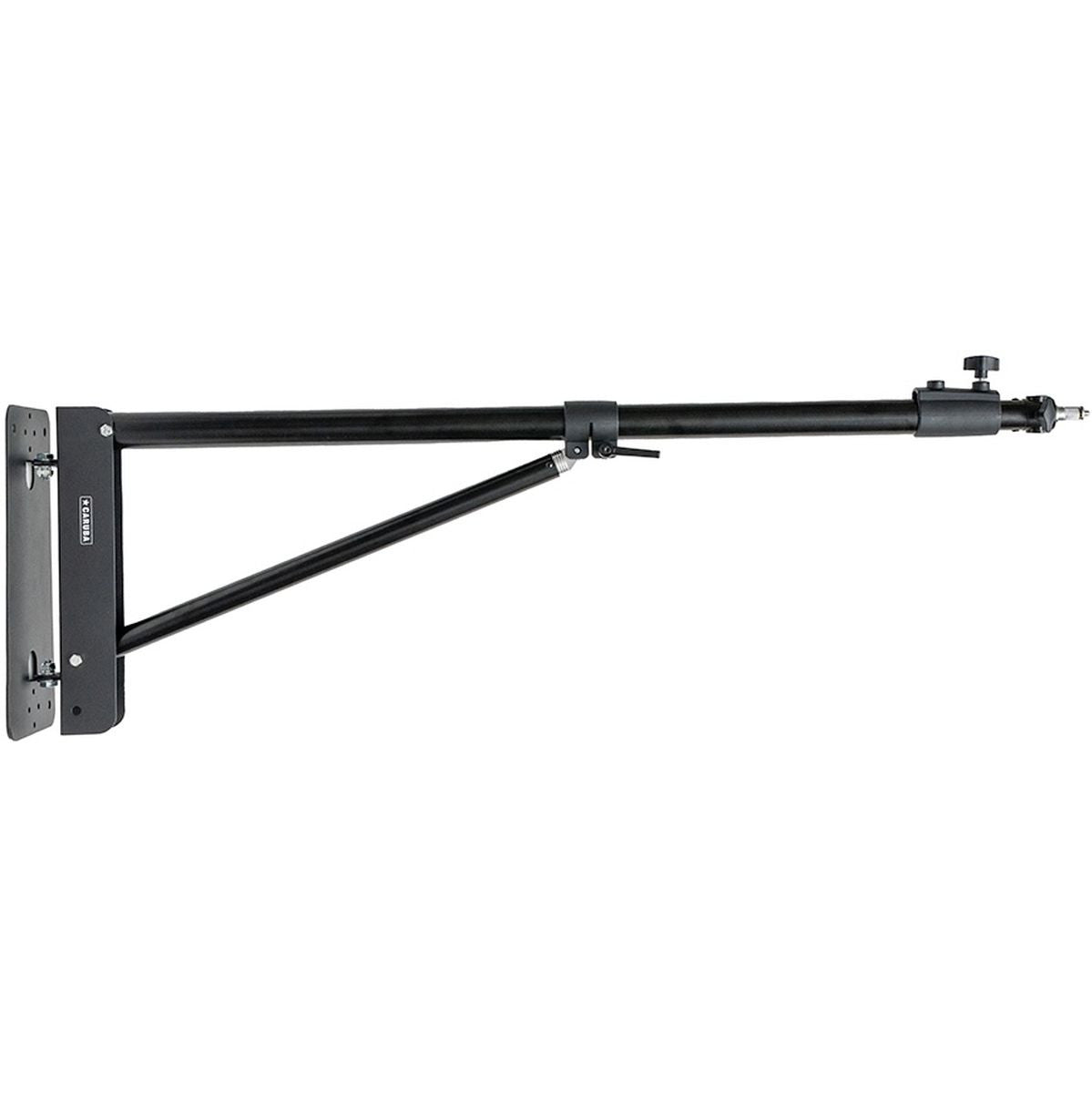 Caruba Muur Boom 175cm