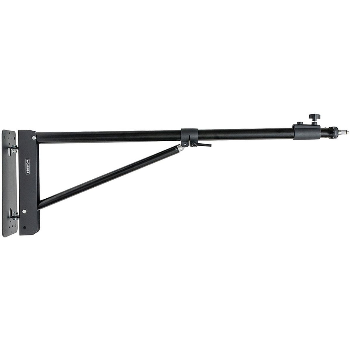 Caruba Muur Boom 175cm
