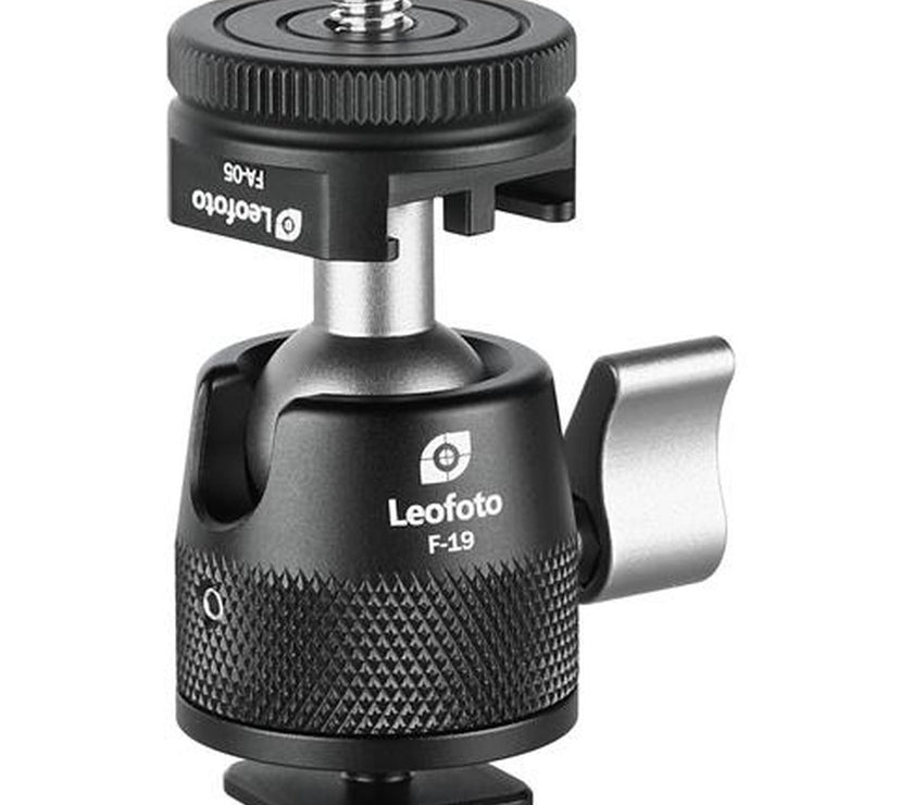 Leofoto Ball Head F-19