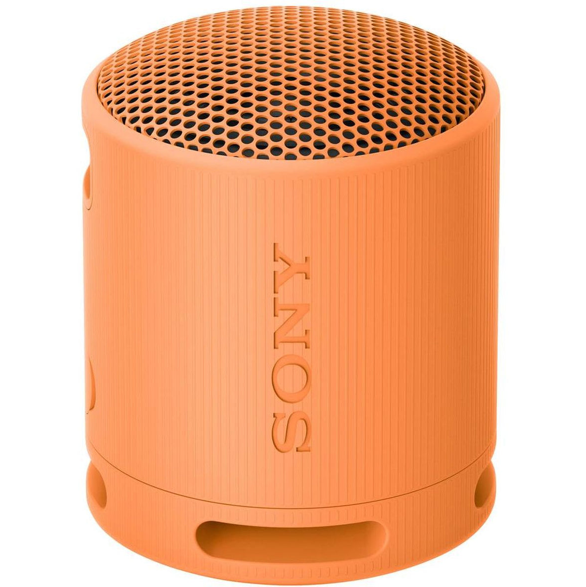 Sony SRSXB100D.CE7