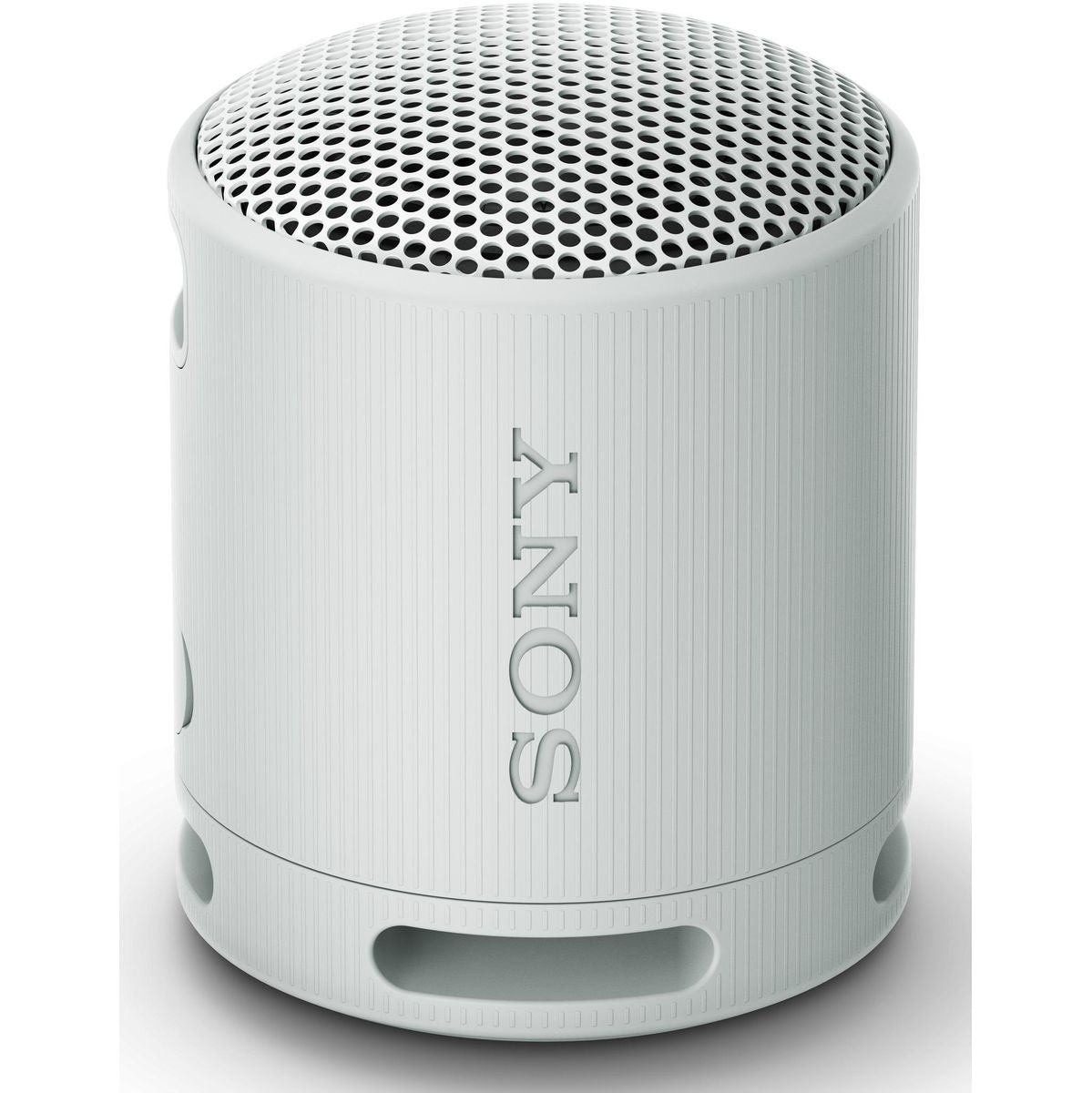 Sony SRSXB100H.CE7