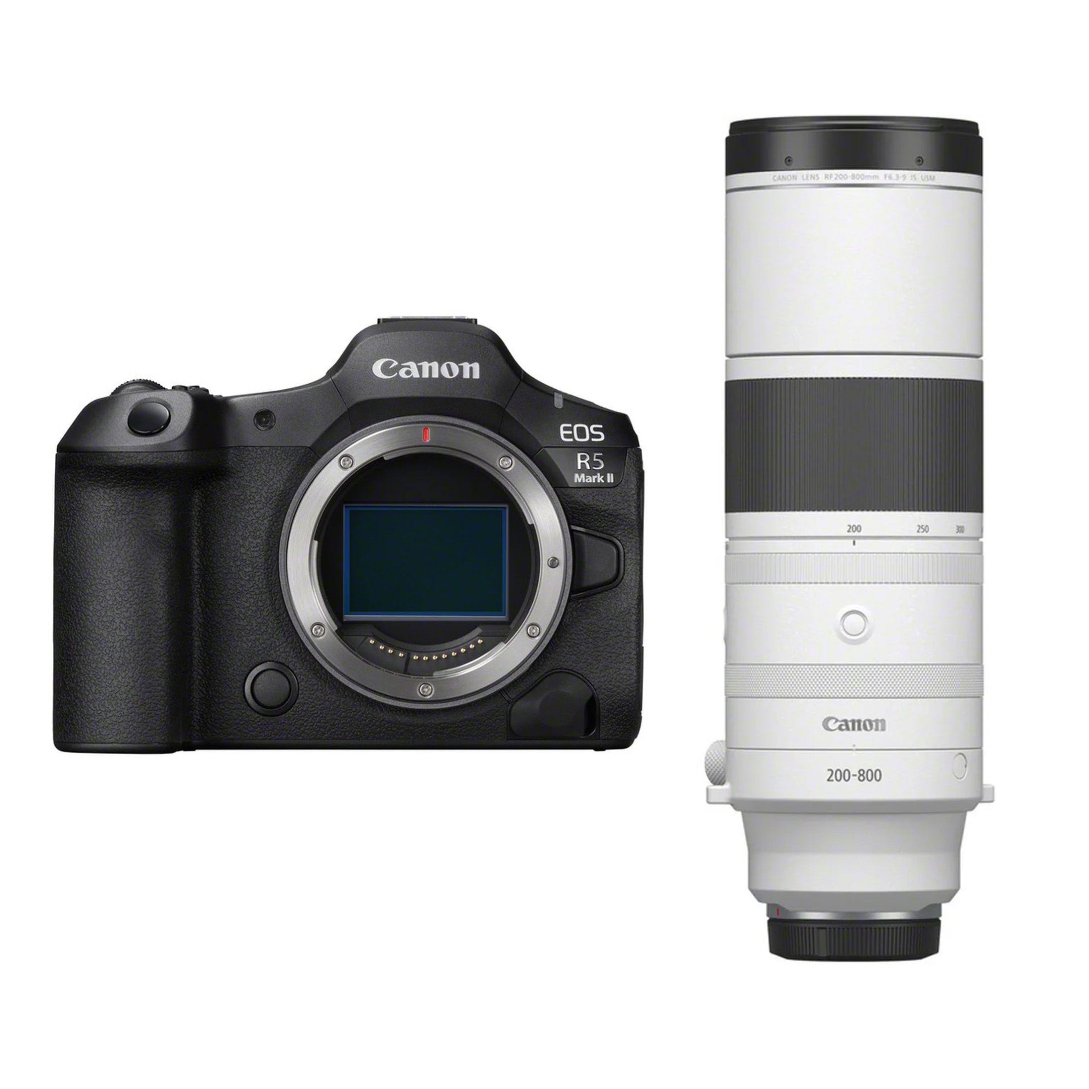Canon EOS R5  Mark II + RF 200-800mm f/6.3-9.0 IS USM