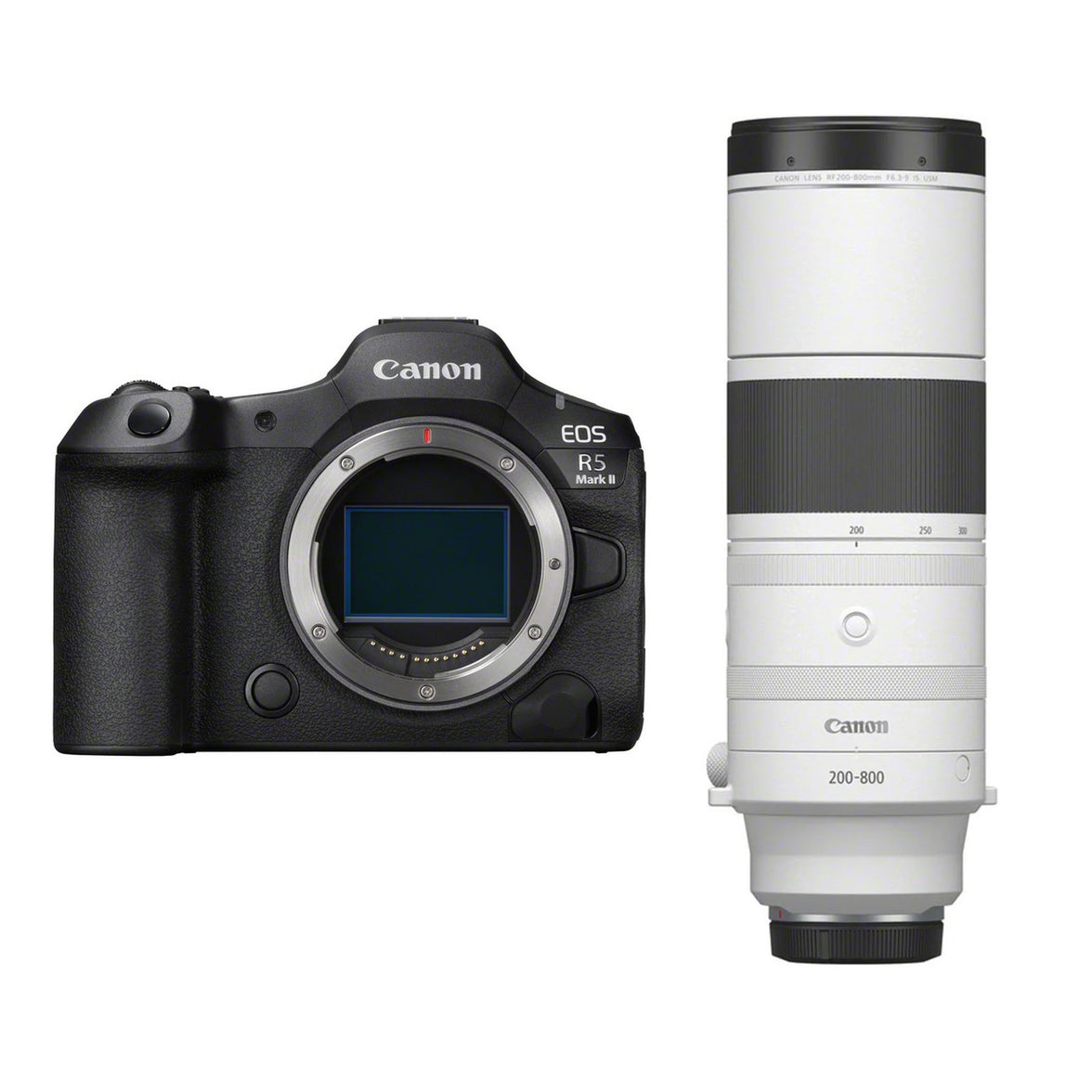 Canon EOS R5  Mark II + RF 200-800mm f/6.3-9.0 IS USM