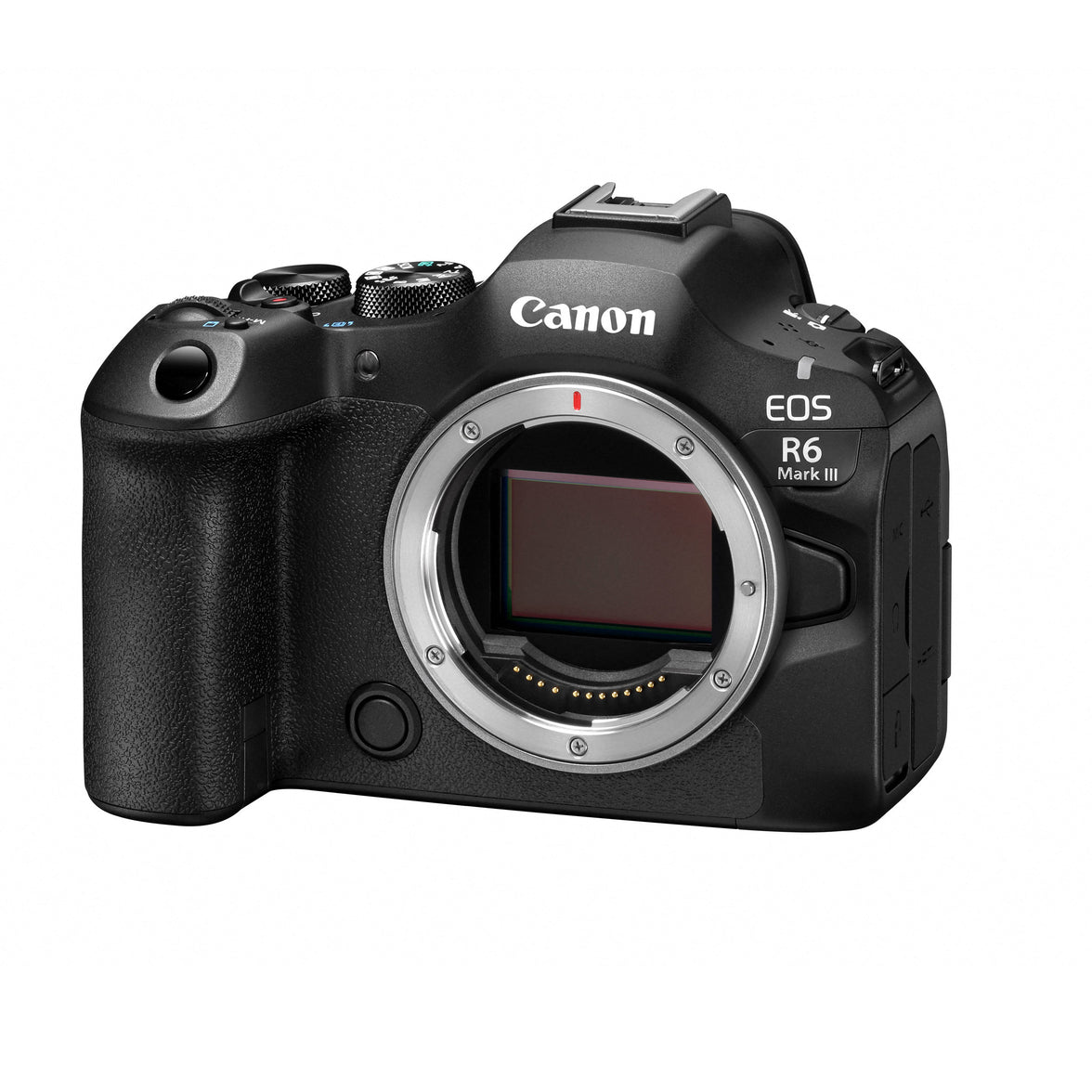 Canon EOS R6 III + RF 24-105mm F4-7.1 IS STM