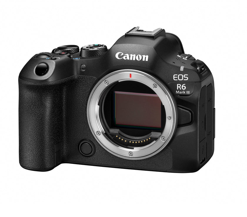 Canon EOS R6 III + RF 24-105mm F4-7.1 IS STM