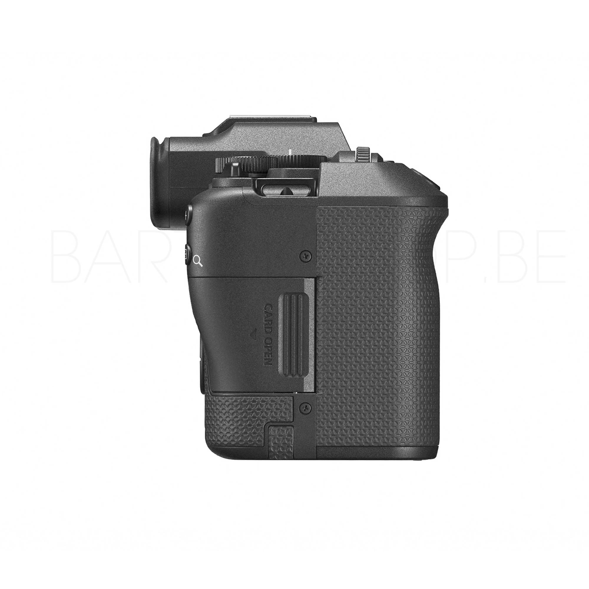 Canon EOS R8 Mark II + RF 24-105mm F4-7.1 IS STM